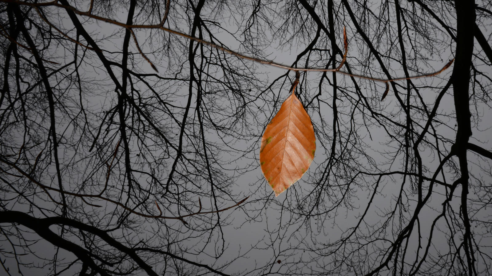 Wettertrend für deutschland vom 31.10.2016: typisch november ...