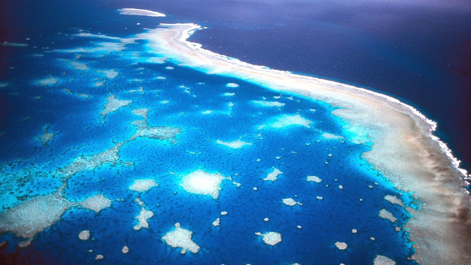 Klimawandel: Das Great Barrier Riff vor der Küste Australiens ist zu zwei Dritteln zerstört Zwei Drittel des Great Barrier Reefs vor der australischen Küste sind tot