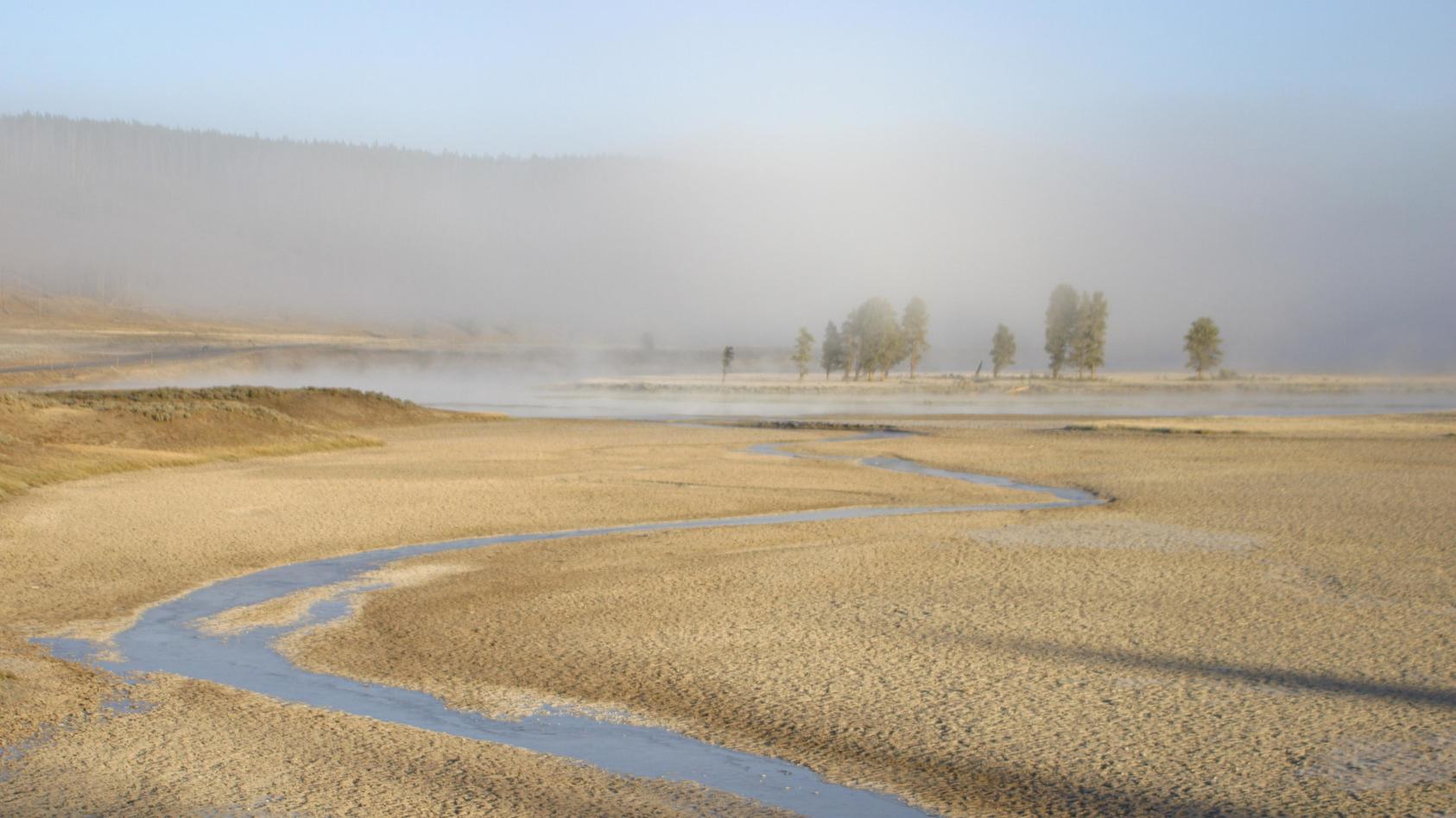 Wetterlexikon: Strahlungsnebel | wetter.de