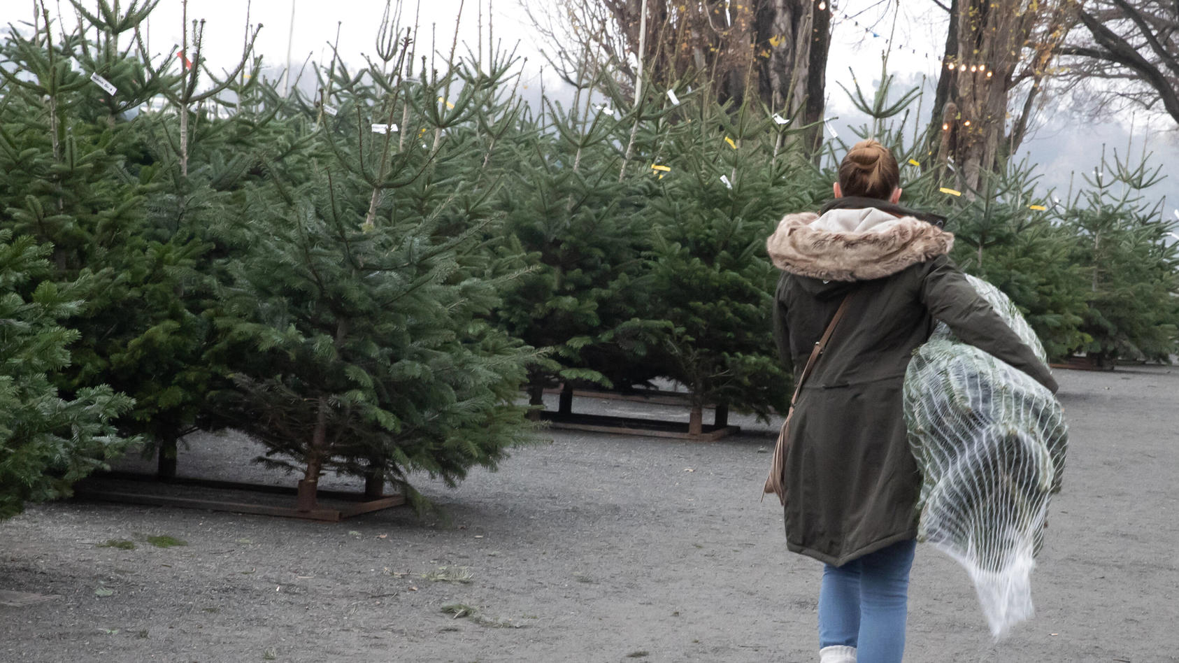 Weihnachtsbaum kaufen im Lockdown Wo kann man jetzt noch Christbäume