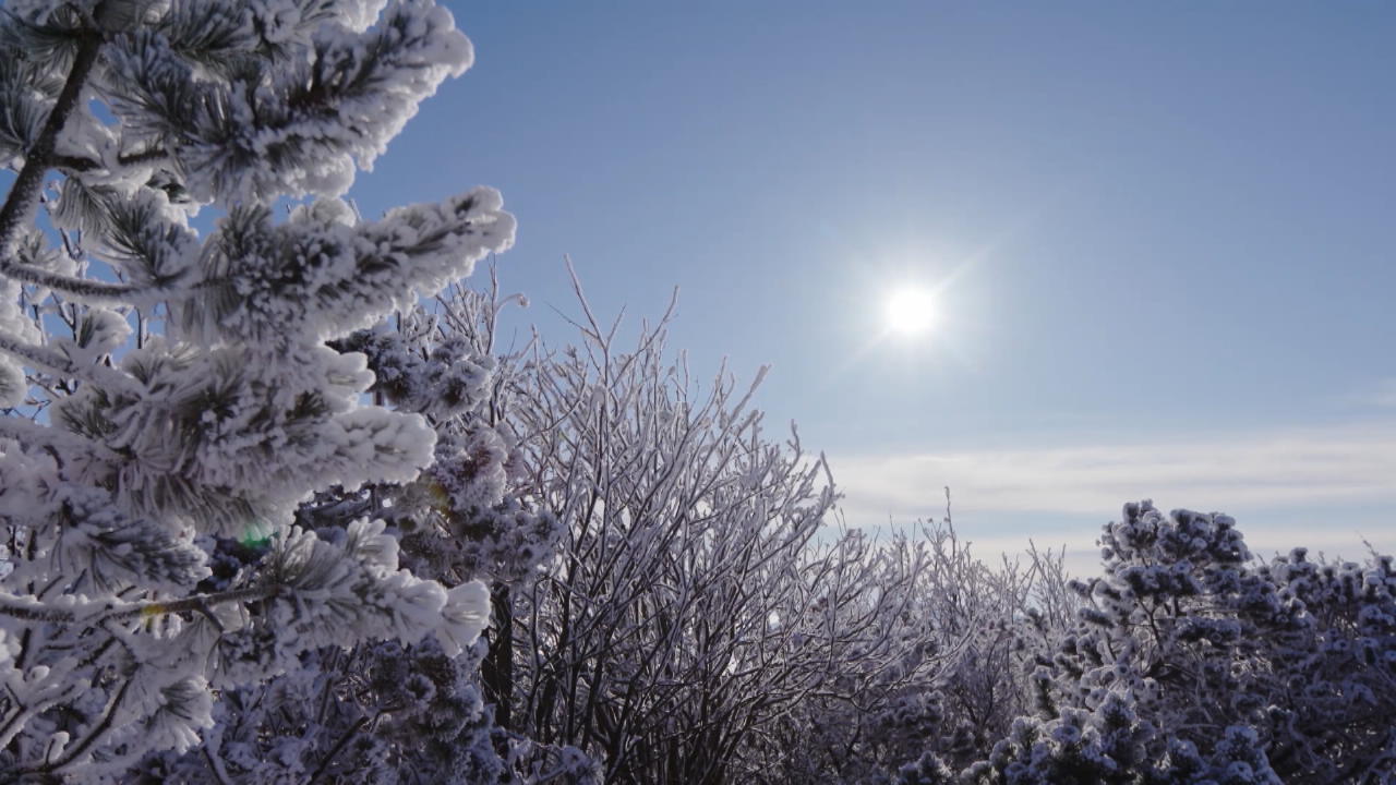 Kalendarischer und meteorologischer Winteranfang Wann werden die Tage