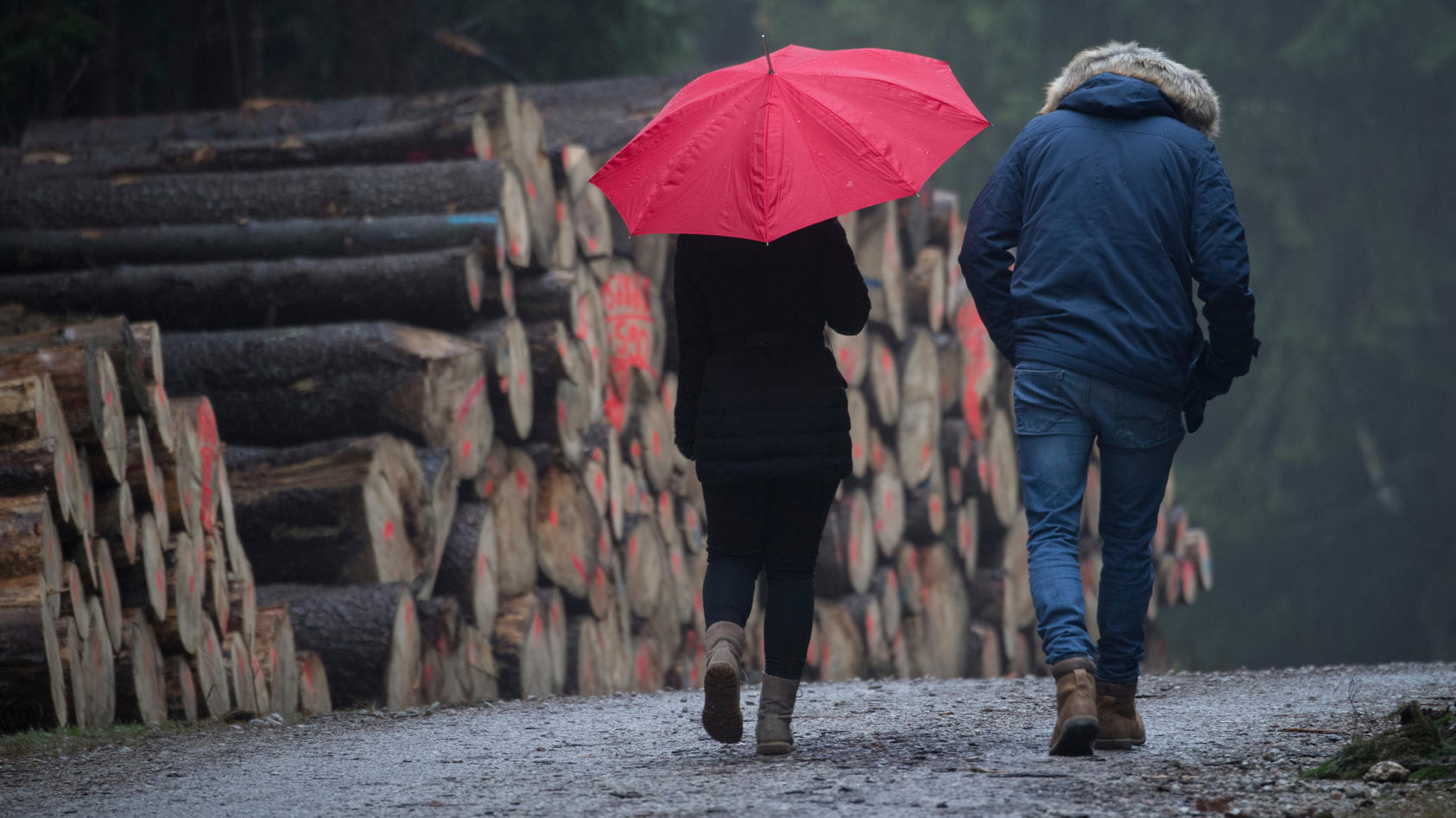 Tendencia meteorológica de 7 días hasta el 23 de febrero de 2023: el aire frío sigue a las temperaturas templadas, al igual que la nieve y las heladas