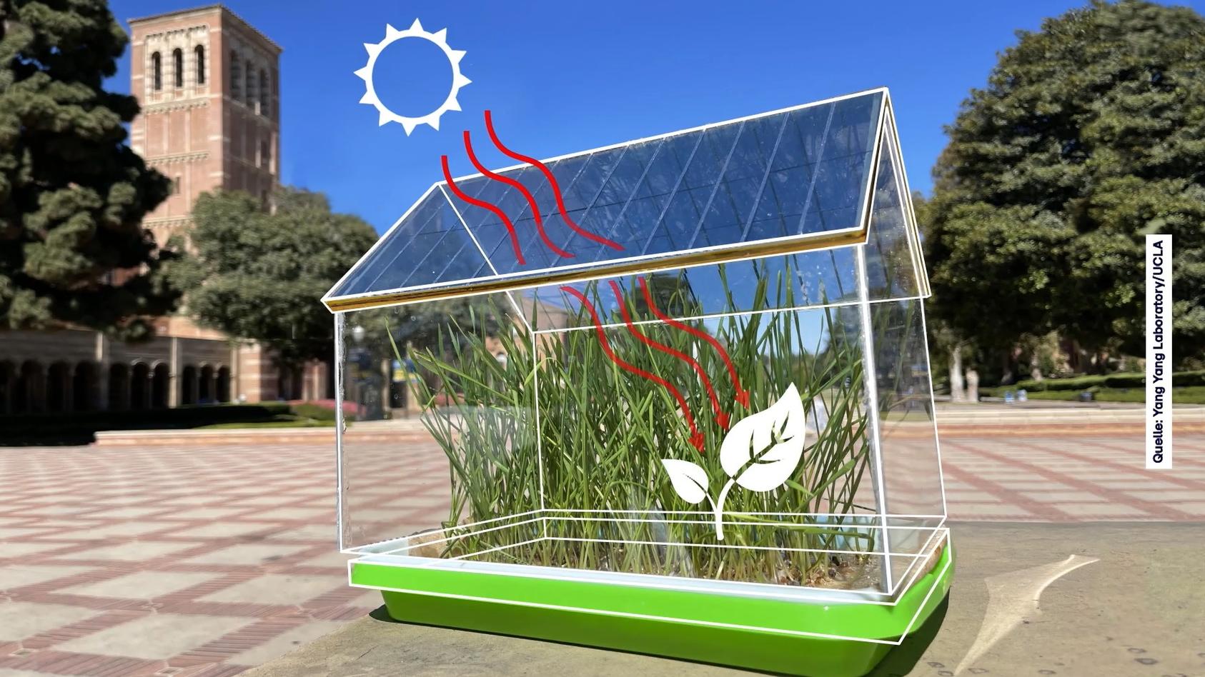 Photovoltaic Greenhouse – Plants grow better with solar energy