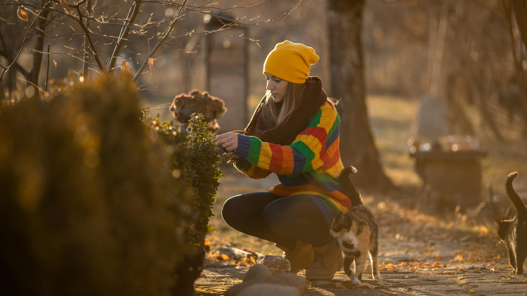 Checkliste Garten winterfest machen so sind Pflanzen gut vor Kälte