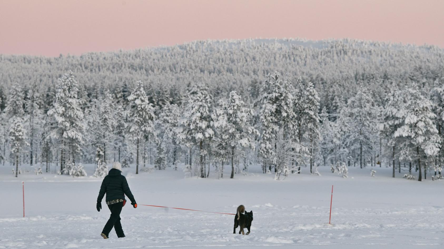 WinterEinbruch im Januar 2024 Jetzt kommt extreme Kälte nach