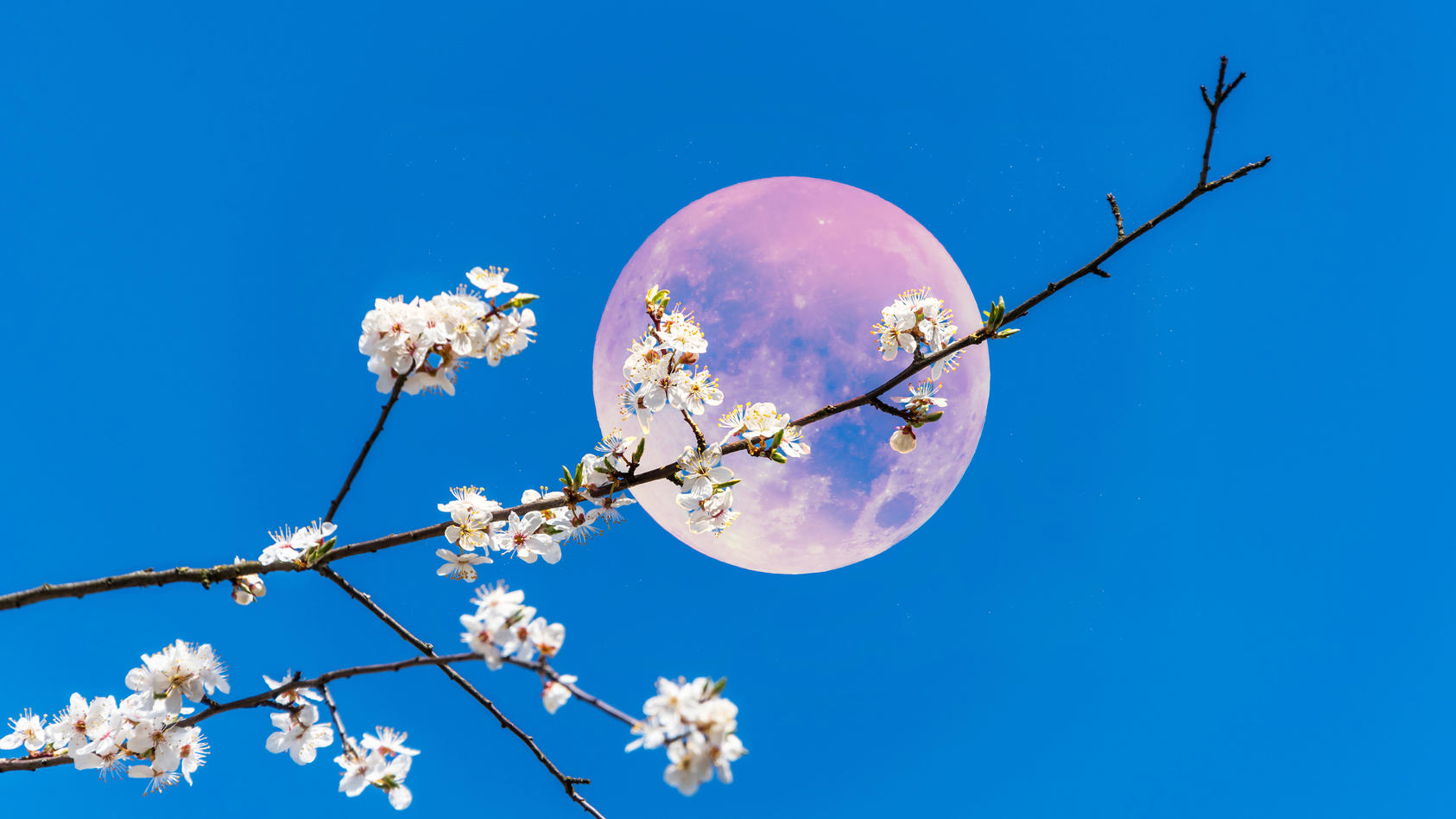 Vollmond Im M Rz Lenzmond Scheint Aus Dem Halbschatten In Den