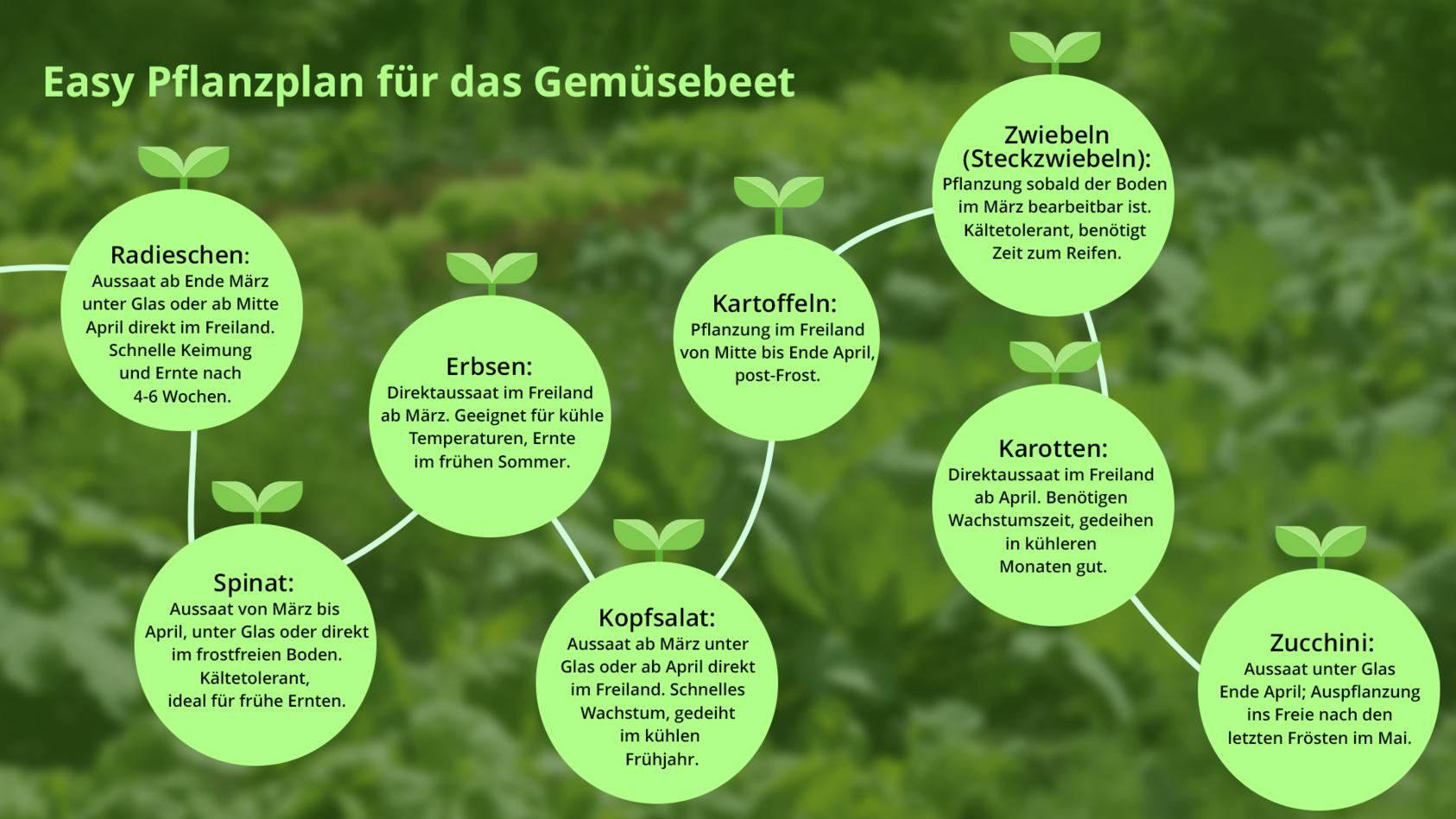 Gemüsegarten anlegen Anbauplan, Pflanzplan und wertvolle Tipps mit