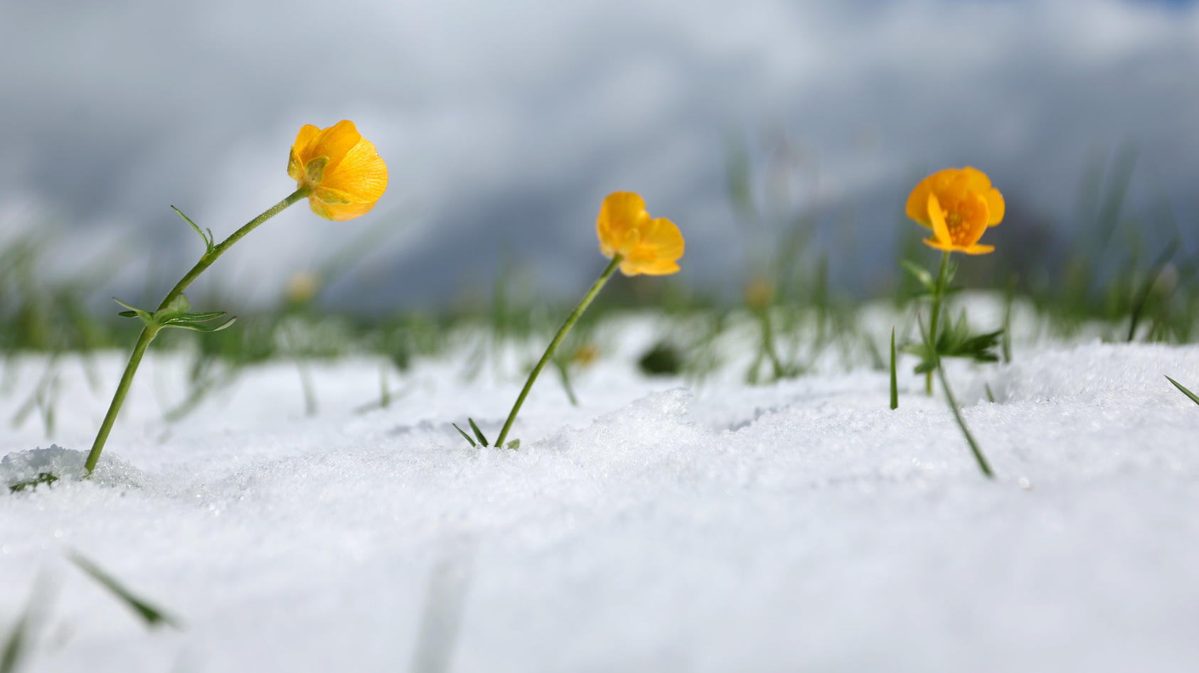 7-Tage-Wettertrend: Es Schneit, Stürmt Und Regnet Ohne Ende - Der April ...