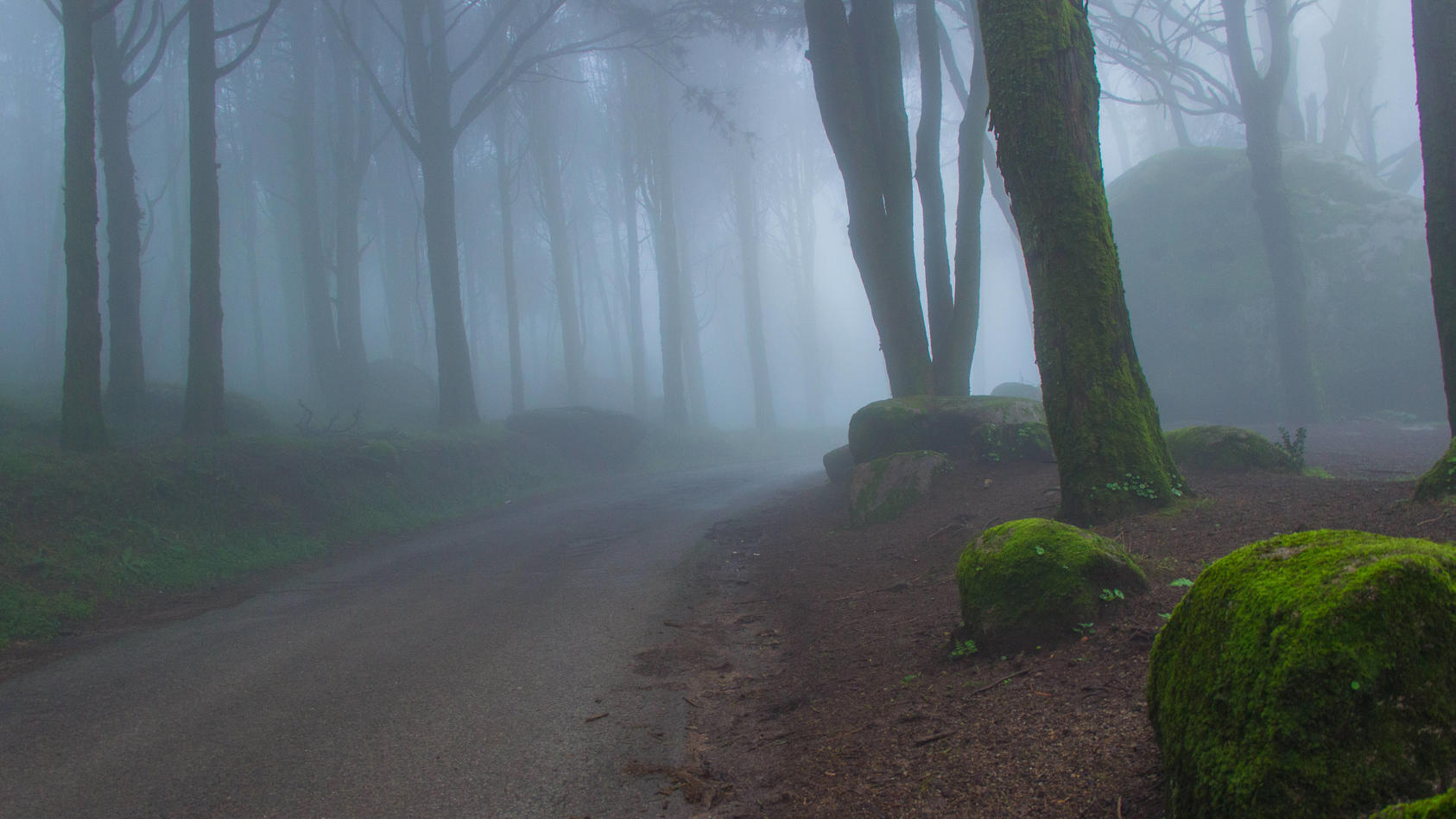 Wetter und Wetterthemen am 4. November 2024 Nebel und Hochnebel