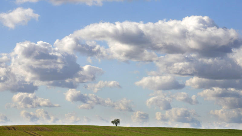 Jahreszeiten wann beginnen Frühling, Sommer Herbst und