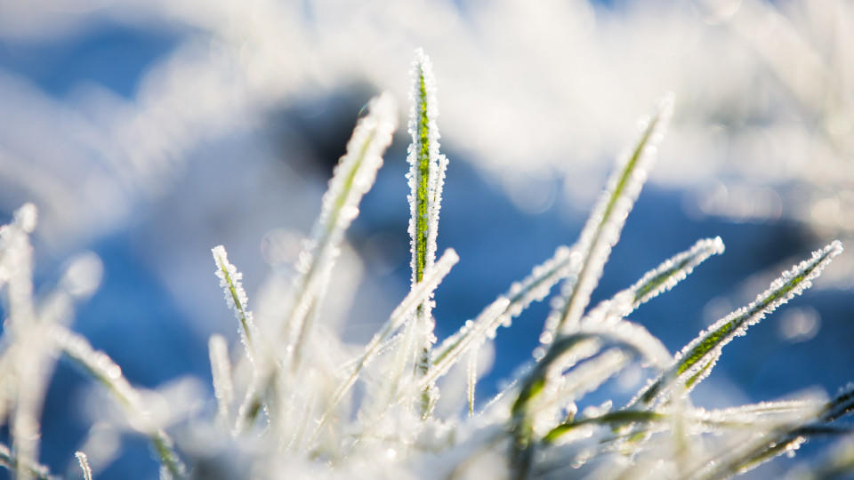 Wetterlexikon: Frost